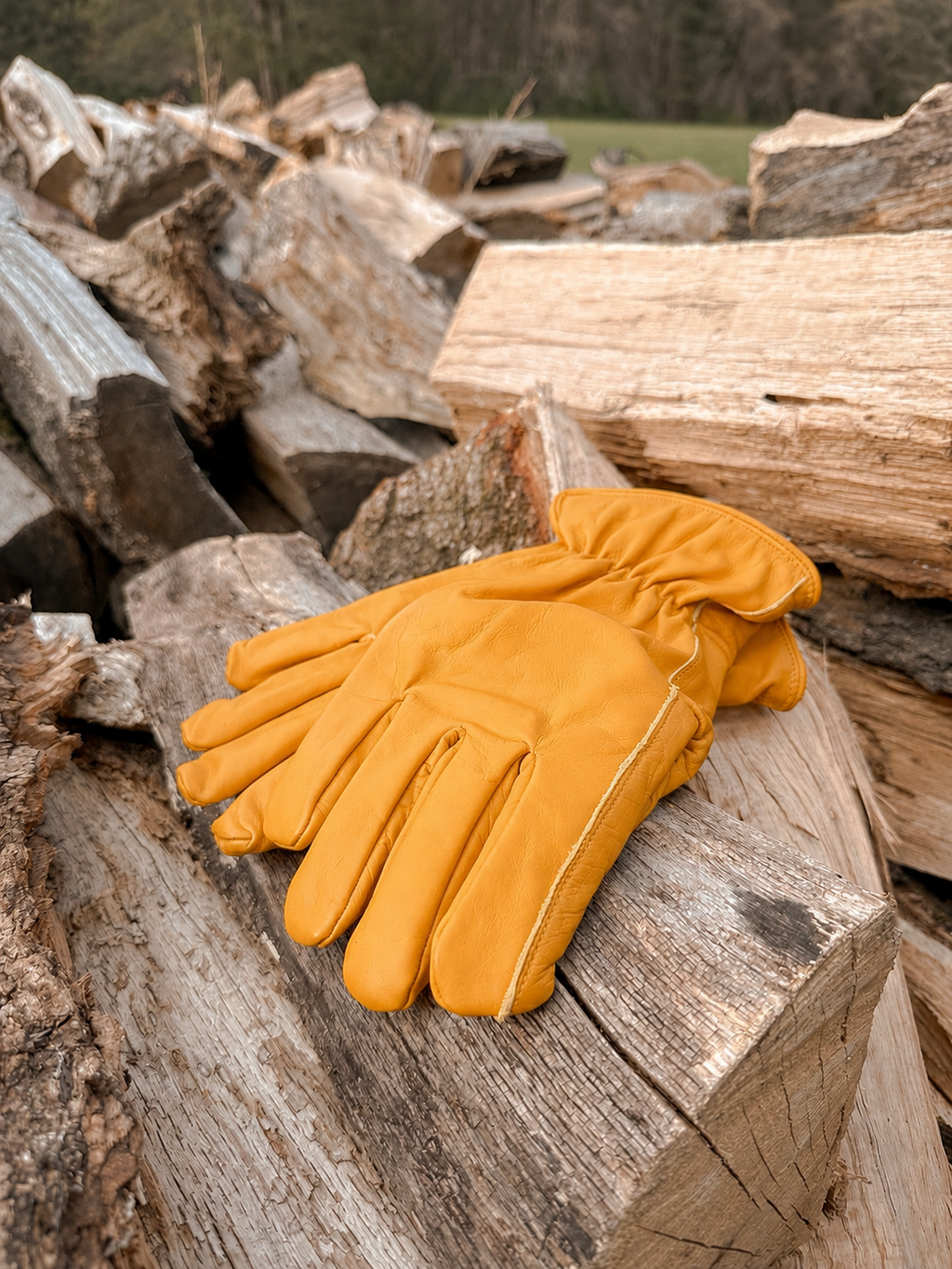 Alpaca Lined Leather Gloves